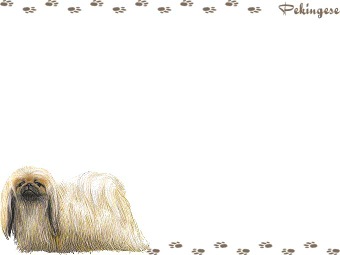 ペキニーズの年賀状／非商用無料イラスト