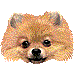 ぽめらにやん・アイコン