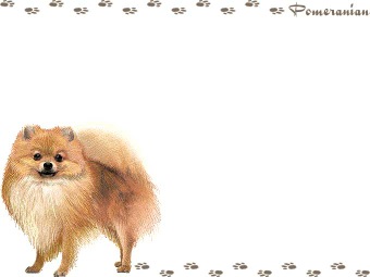 ポメラニアンの年賀状／非商用無料イラスト