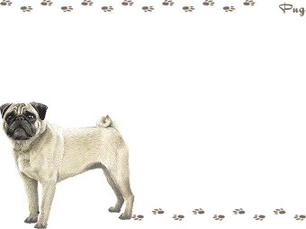 パグの年賀状／非商用無料イラスト