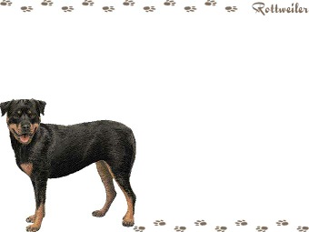 ロットワイラーの年賀状／非商用無料イラスト