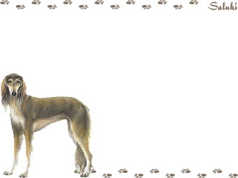 サルーキの年賀状／非商用無料イラスト
