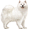 さもえどのあいこん