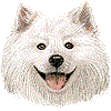 サモエド・あいこん