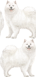 サモエドの壁紙／非営利無料イラスト