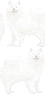 サムエドの壁紙／条件付きフリー画像