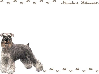 ミニチュア シュナウザーの年賀状／非商用無料イラスト