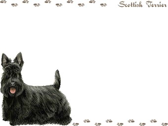 スコティッシュ テリアの年賀状／非商用無料イラスト