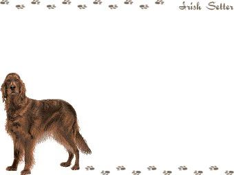 アイリッシュ セターの年賀状／非商用無料イラスト