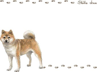柴犬・豆柴（しばいぬ・まめしば）の年賀状／非商用無料イラスト