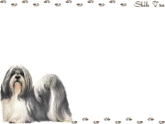 シーズーの年賀状／非商用無料イラスト