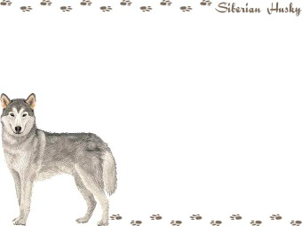 シベリアン ハスキーの年賀状／非商用無料イラスト