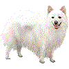 にほんすぴっつのあいこん
