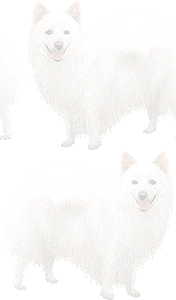にほんすぴっつの壁紙／条件付きフリー画像