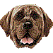 土佐闘犬・アイコン
