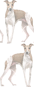 ウイペットの壁紙／非営利無料イラスト
