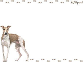 ウィペット、ホイペットの年賀状／非商用無料イラスト