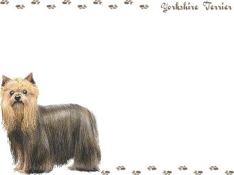 ヨークシャー テリア、ヨーキーの年賀状／非商用無料イラスト