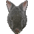 Amami Rabbit, Ryukyu Rabbit thumbnail