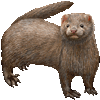 みんくのあいこん