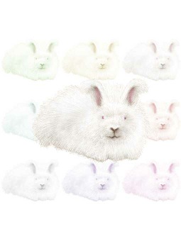アンゴラ ウサギ／（兎）うさぎのポストカード／無料イラスト