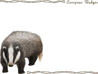（穴熊）アナグマの年賀状／非商用無料イラスト