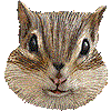 シマリス・あいこん