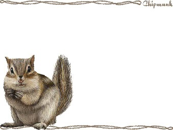 （縞栗鼠）シマ リスの年賀状／非商用無料イラスト