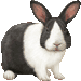 パンダうさぎ・アイコン