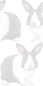 ダッチうさぎの壁紙／条件付きフリー画像