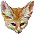 Fennec thumbnail