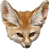 フェネックギツネ・あいこん