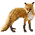 狐（キタキツネ）／アイコン