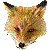 Ezo Red Fox thumbnail