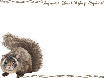 ムササビの年賀状／非商用無料イラスト