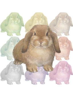 ポスカ・ホーランドロップウサギ（兎）／条件付フリー素材