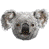 コアラ・あいこん
