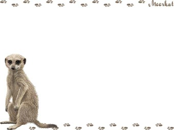 ミーア キャット、スリカータの年賀状／非商用無料イラスト