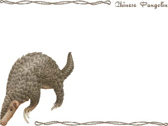 （耳穿山甲）ミミ センザンコウの年賀状／非商用無料イラスト