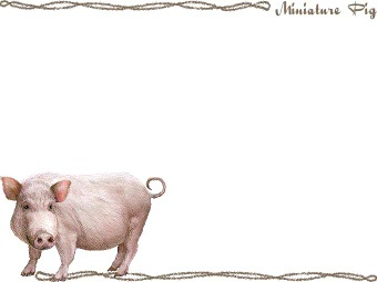 みにぶたの年賀状／条件付無料素材