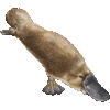 かものはしのあいこん