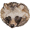 タヌキ・あいこん