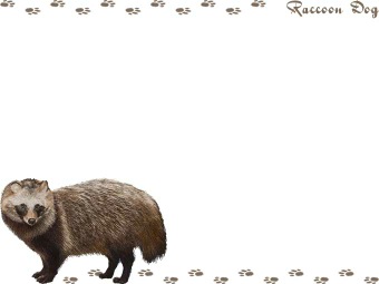 （狸）タヌキの年賀状／非商用無料イラスト