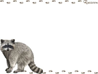 アライグマの年賀状／非商用無料イラスト