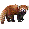 れっさーぱんだのあいこん
