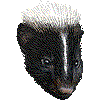 しますかんくのあいこん