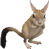 とびうさぎのあいこん