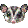 ふくろももんがのあいこん