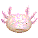 あほろーとる・アイコン