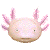 ウーパールーパー・あいこん